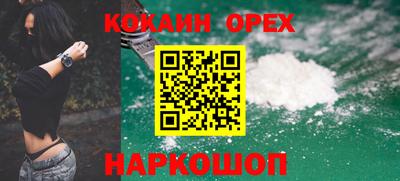 кокс Гатчина