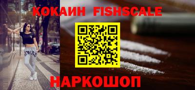 индика Гай