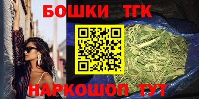 индика Гай