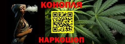 индика Гай