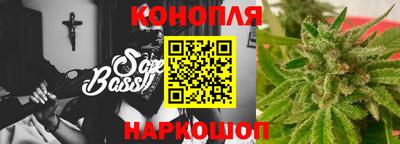 кокс Гатчина