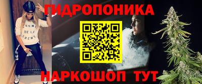 индика Гай