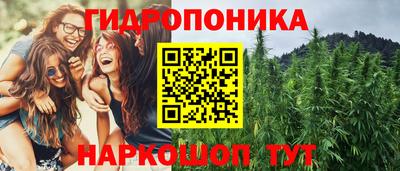 кокс Гатчина