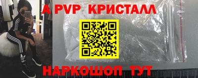 индика Гай