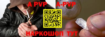 индика Гай
