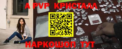 кокс Гатчина