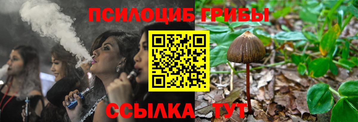 Галлюциногенные грибы MAGIC MUSHROOMS  Вход с VPN  где найти   Советский 